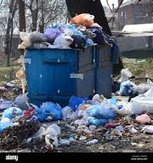 Best Yard Waste Removal  in Knightdale, NC